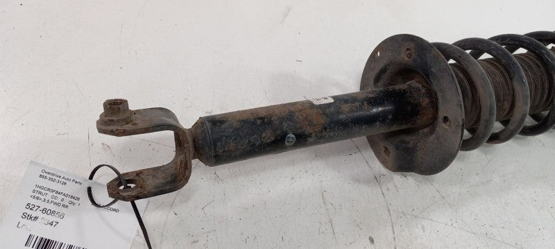 Strut Rear Sedan Fits 13-15 ACCORD  OEM