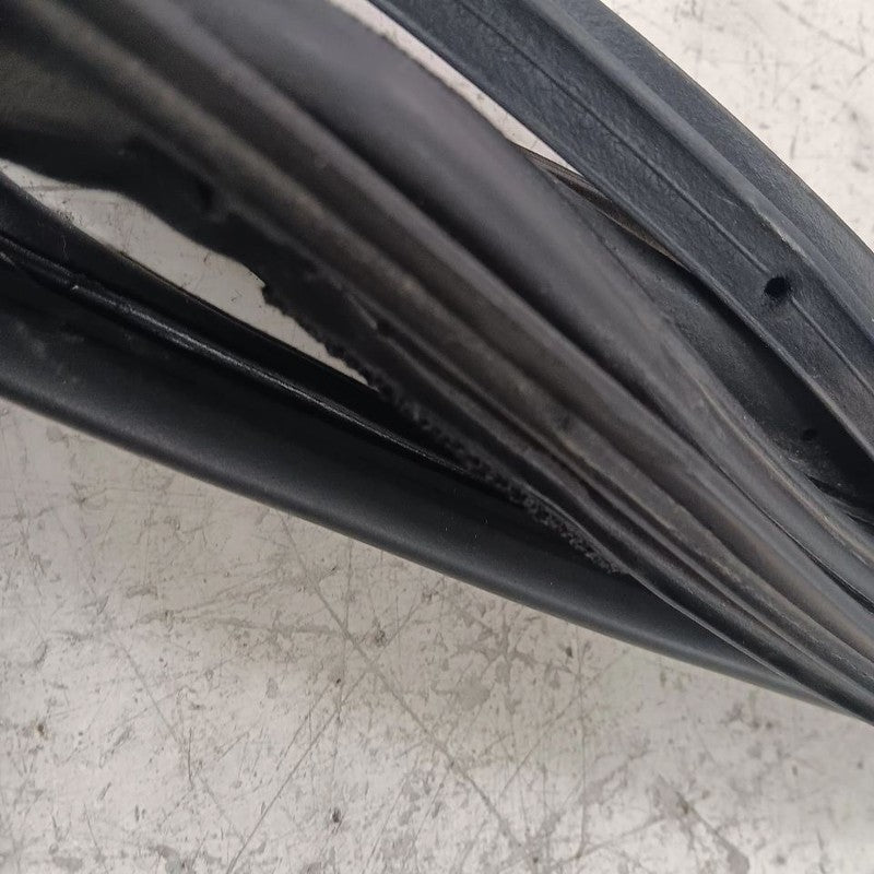 Nissan Kicks On Door Seal Rubber Left Rear Back  2021 2022 2023 2024