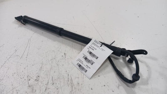 Toyota Rav 4 Hatchback Hatch Back Trunk Lid Shock Strut Support  2019 