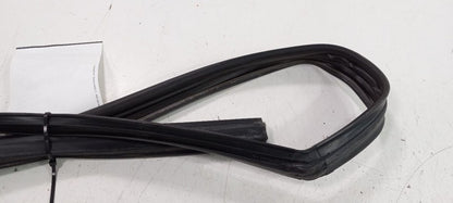 Cadillac CTS Door Glass Window Seal Rubber Left Front Driver 2011 2012