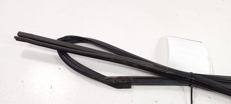 Subaru Tribeca Door Glass Window Seal Rubber Right Passenger Rear Back