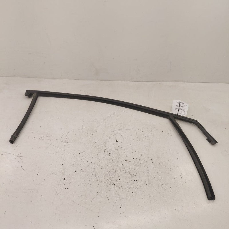 Ford Edge Door Glass Window Seal Rubber Right Passenger Front  2019 20