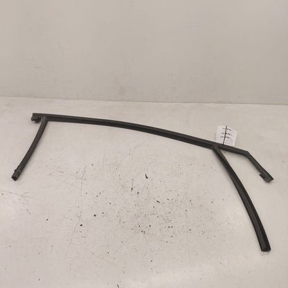 Ford Edge Door Glass Window Seal Rubber Right Passenger Front  2019 20