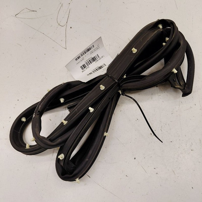 Ford Ecosport On Door Seal Rubber Right Passenger Rear Back  2020 2021