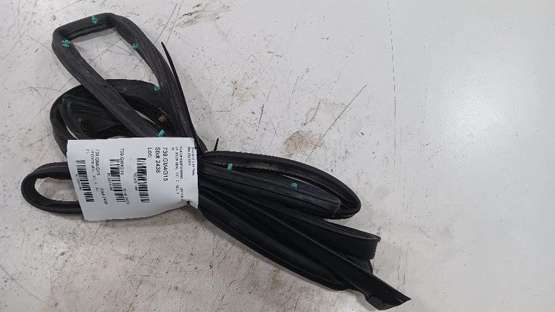 Buick Encore On Door Seal Rubber Left Rear Back  2013 2014 2015 2016