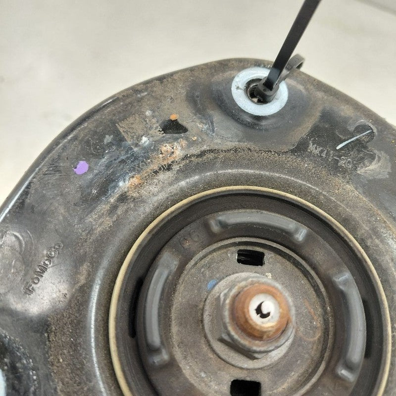 Passenger Right Front Strut AWD Fits 20-22 Ford Escape