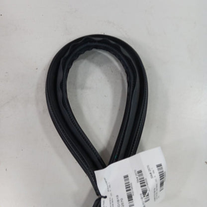Ford Ecosport On Body Door Jamb Seal Rear Left Driver Back  2018 2019 