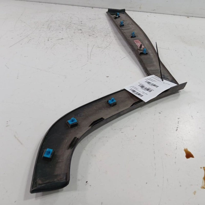 Jeep Compass Door Molding Trim Strip Left Side Rear Back  2021 2020 2019 