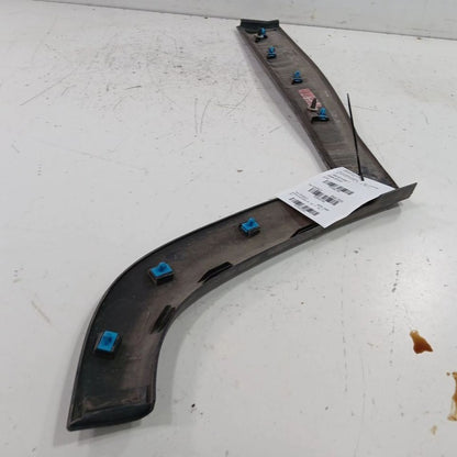 Jeep Compass Door Molding Trim Strip Left Side Rear Back  2021 2020 2019 