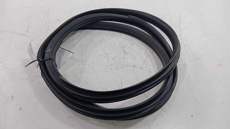 Kia Forte On Body Door Jamb Seal Rear Left Back  2014 2015 2016