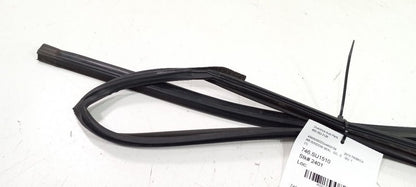 Subaru Tribeca Door Glass Window Seal Rubber Right Passenger Rear Back