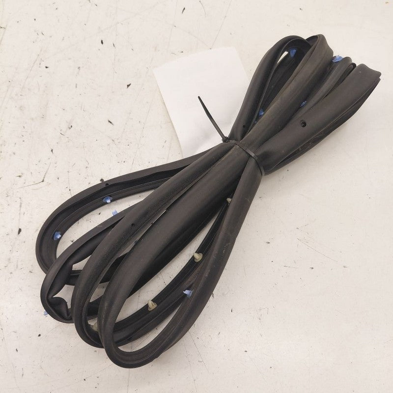 Chevy Volt On Door Seal Rubber Left Driver Rear Back  2016 2017 2018 2