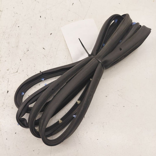 Chevy Volt On Door Seal Rubber Left Driver Rear Back  2016 2017 2018 2