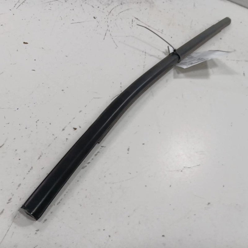 Jeep Compass Door Glass Window Weather Strip Trim Rear Left Back  2021