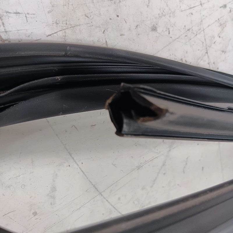 Nissan LEAF Door Glass Window Seal Rubber Right Passenger Front  2013 