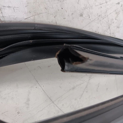 Nissan LEAF Door Glass Window Seal Rubber Right Passenger Front  2013 