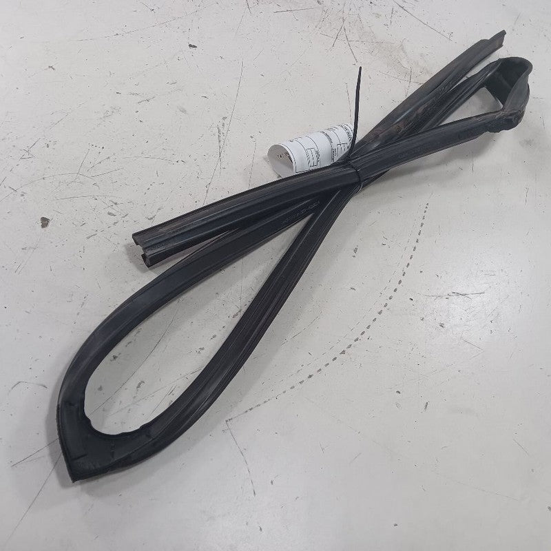 INFINITI QX50 Door Glass Window Seal Rubber Left Driver Rear Back 2017
