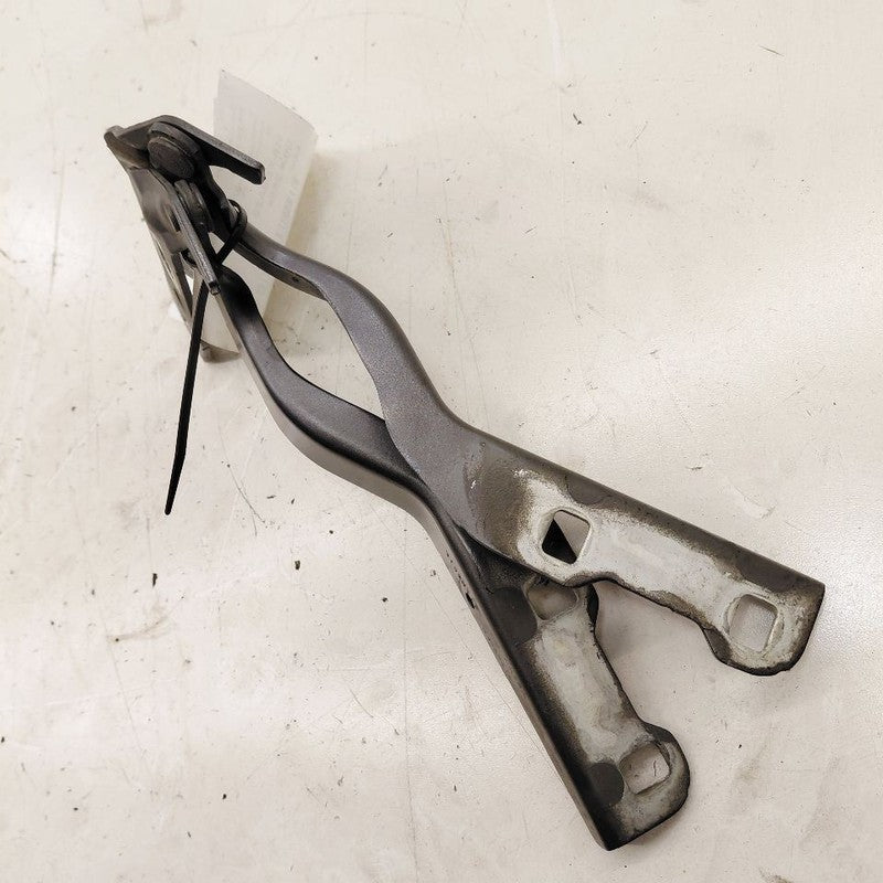 Ford Escape Hood Hinge Set Left and Right  2022 2023 2024