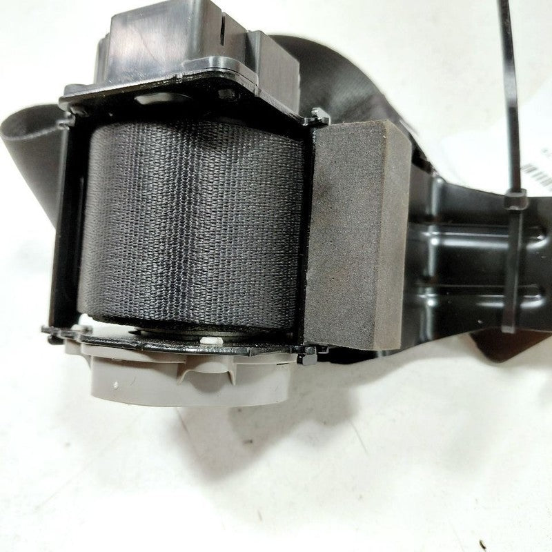 Hyundai Elantra Seat Belt Strap Retractor Center Middle Rear Back 2024