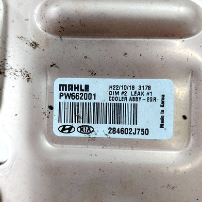 Hyundai Elantra EGR Cooler 2.0 2024 2023 2022 2021 OEM