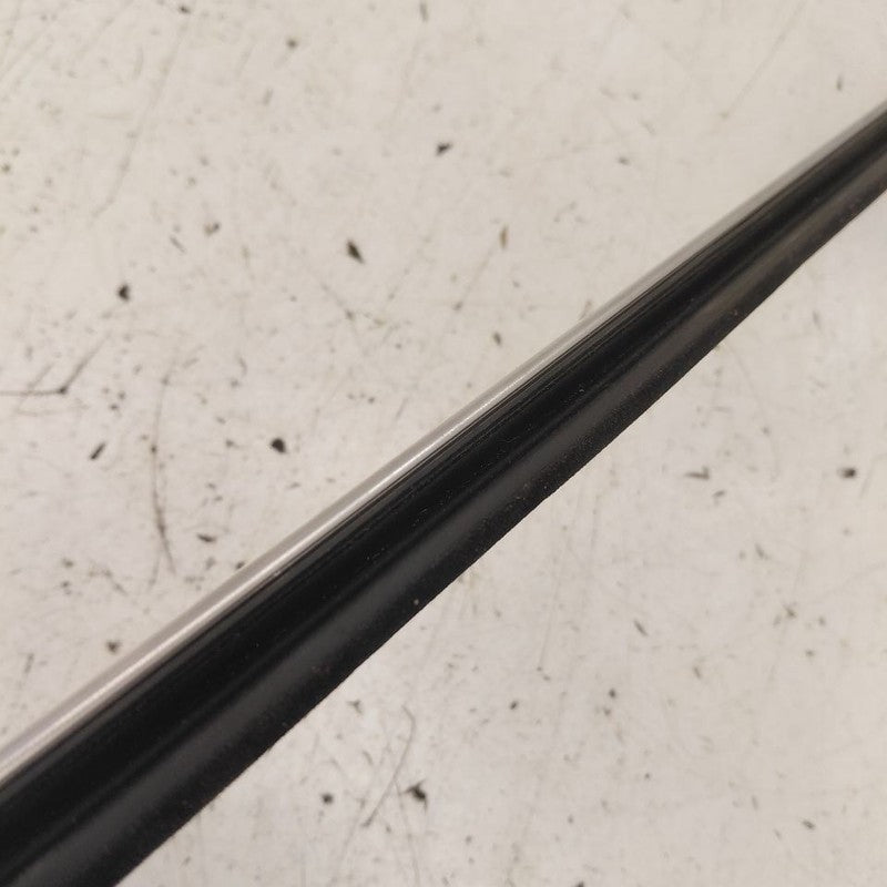 Chevy Equinox Door Glass Window Weather Strip Trim Rear Left Driver Ba