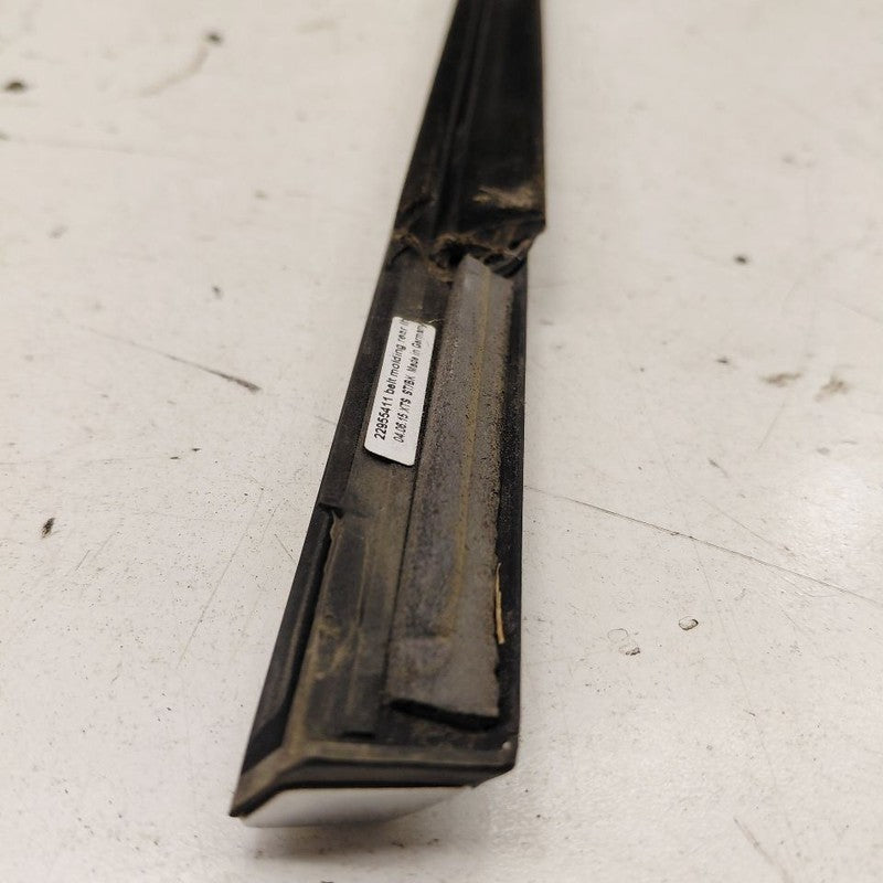 Cadillac XTS Door Glass Window Weather Strip Trim Rear Left Driver Bac