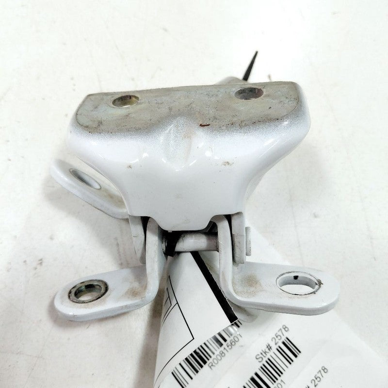 Hyundai Sonata Door Hinge Set Left Driver Rear  2017 2016 2015 OEM