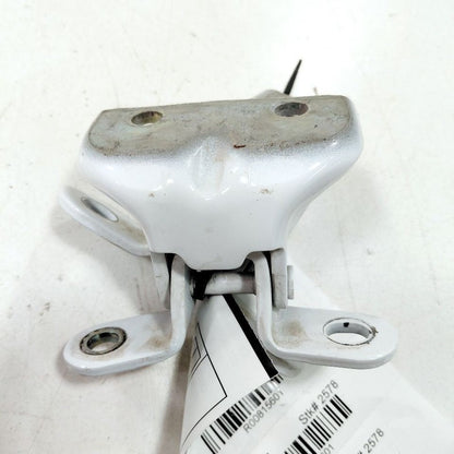 Hyundai Sonata Door Hinge Set Left Driver Rear  2017 2016 2015 OEM