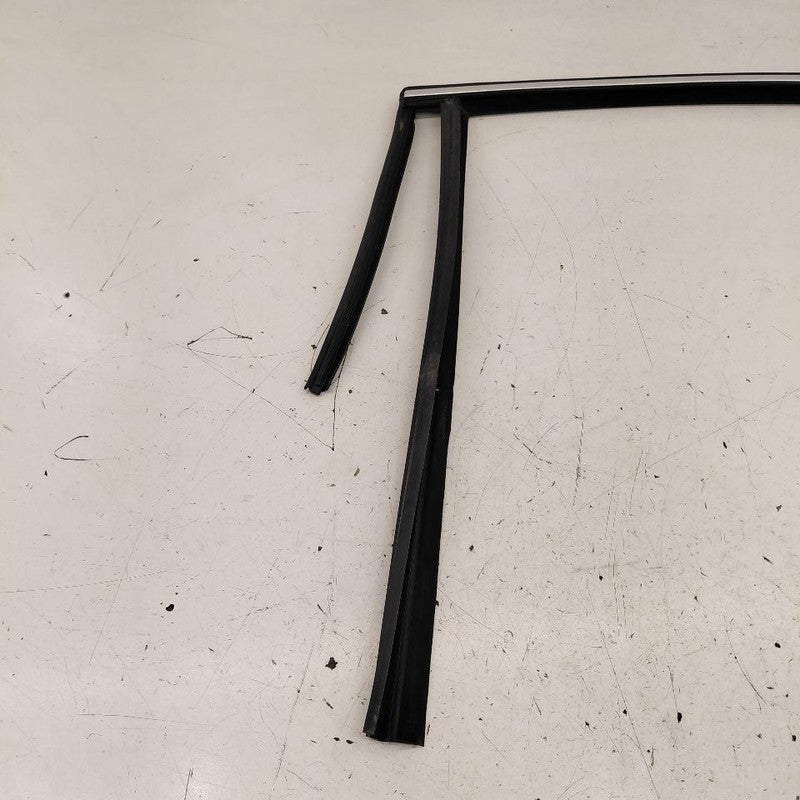 Volvo S60 Door Glass Window Seal Rubber Left Driver Rear Back  2018 20