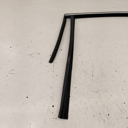 Volvo S60 Door Glass Window Seal Rubber Left Driver Rear Back  2018 20