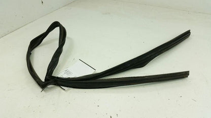 Nissan Altima Door Glass Window Seal Rubber Gasket Right Passenger Rear 2005 OEM