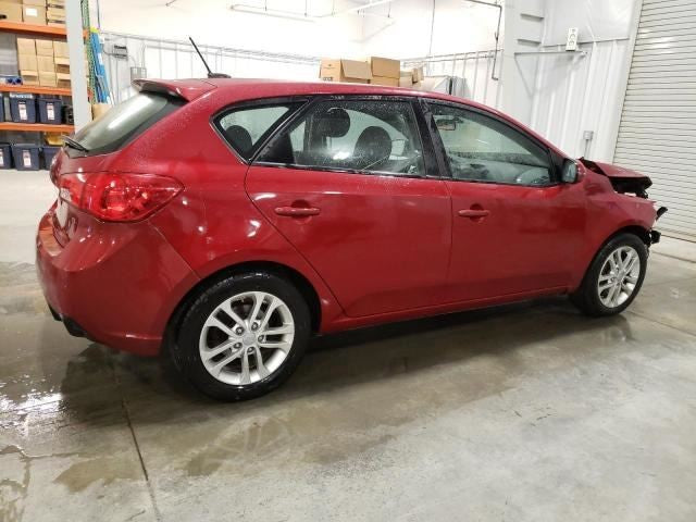 Kia Forte Door Glass Window Weather Strip Trim Rear Right Passenger Si