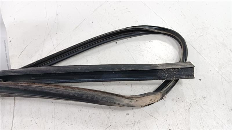Mazda CX-9 Door Glass Window Seal Rubber Right Passenger Front 2012 20