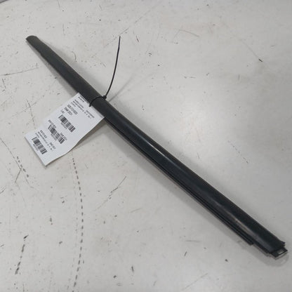 Ford Ecosport Door Glass Window Weather Strip Trim Rear Left Driver Ba