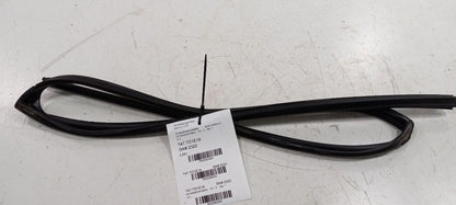 Toyota Corolla Door Glass Window Seal Rubber Left Rear Back 2019 2018 17
