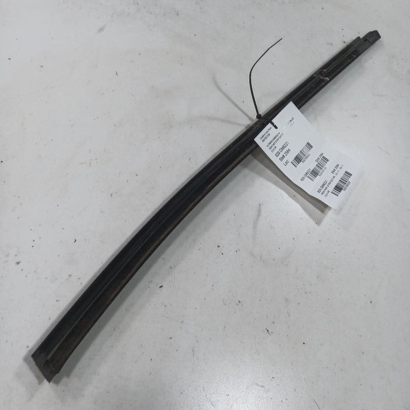 Chevy Trailblazer Door Glass Window Weather Strip Trim Rear Right Pass