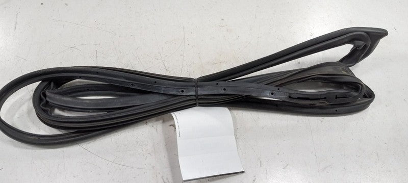 Toyota Corolla On Door Seal Rubber Right Passenger Front 2019 2018 2017 2016 15