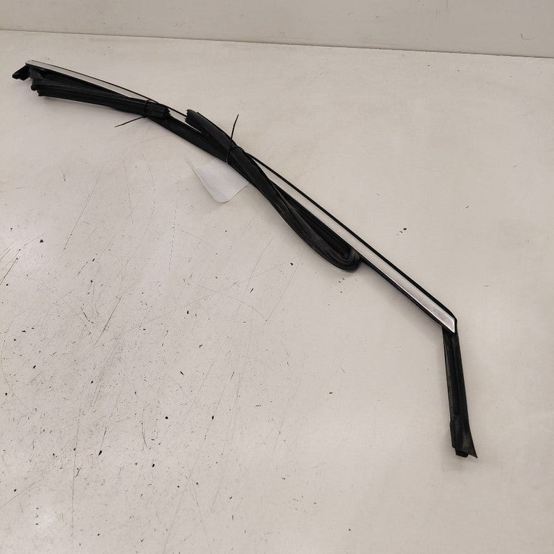 Chevy Volt Door Glass Window Seal Rubber Right Passenger Front  2019 2