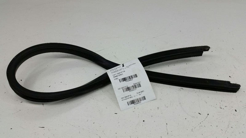 Chevy Impala Door Glass Window Seal Rubber Gasket Left Rear Back 2015 2016 OEM