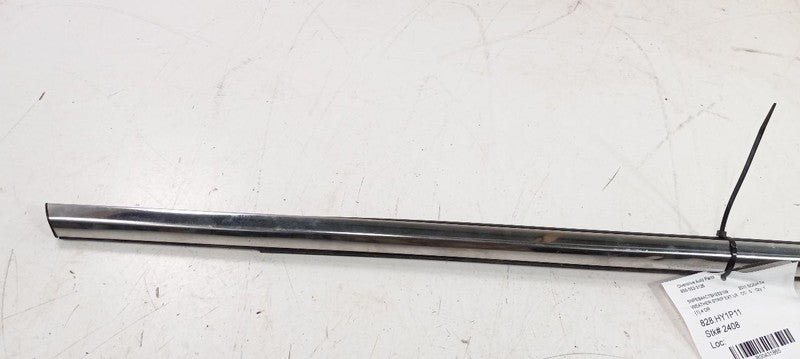 Hyundai Sonata Door Glass Window Weather Strip Trim Rear Left Back 201