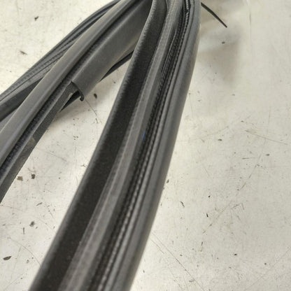 Toyota Prius On Body Door Jamb Seal Rear Right Passenger Back  2022 20