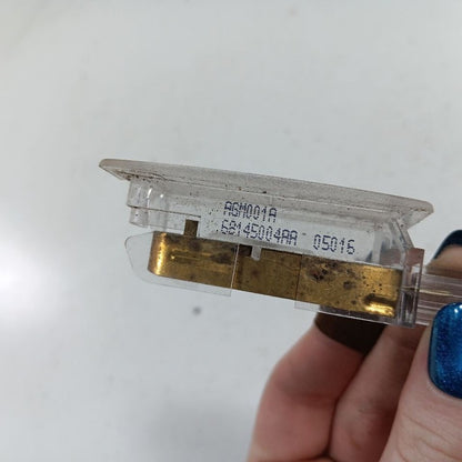 Chrysler 300 Dome Light Roof Lamp  2015 2016 2017 2018 2019