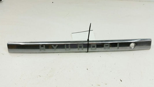 2001 Hyundai XG300 Tail Finish Panel 2002 2003 2004 2005