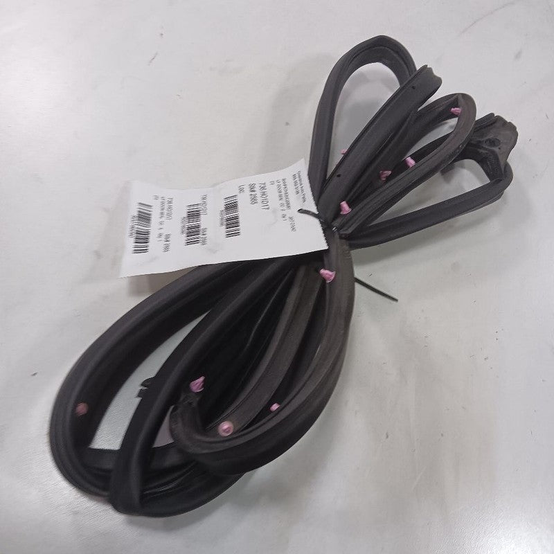 Honda Civic On Door Seal Rubber Left Driver Front 2016 2017 2018 2019