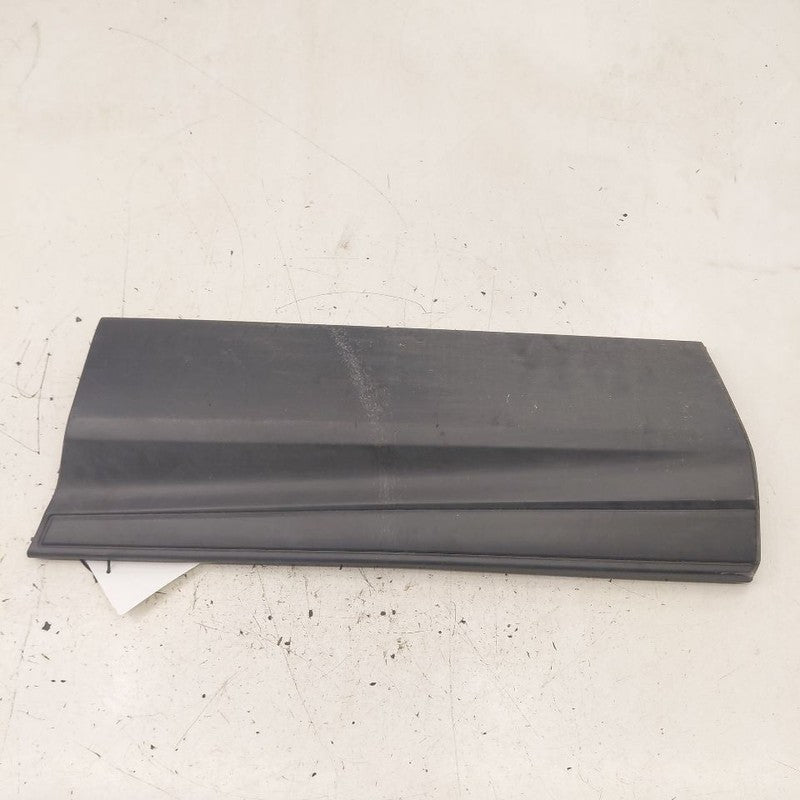 Honda CR-V Door Molding Trim Strip Left Driver Side Rear Back  2019 20