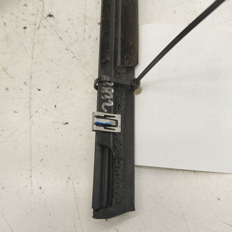 Chevy Equinox Door Glass Window Weather Strip Trim Rear Left Driver Ba