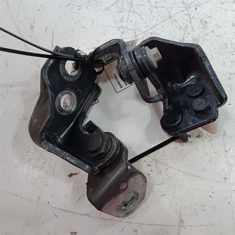 Ford Ecosport Door Hinge Set Left Rear  2018 2019 2020 2021 2022 OEM