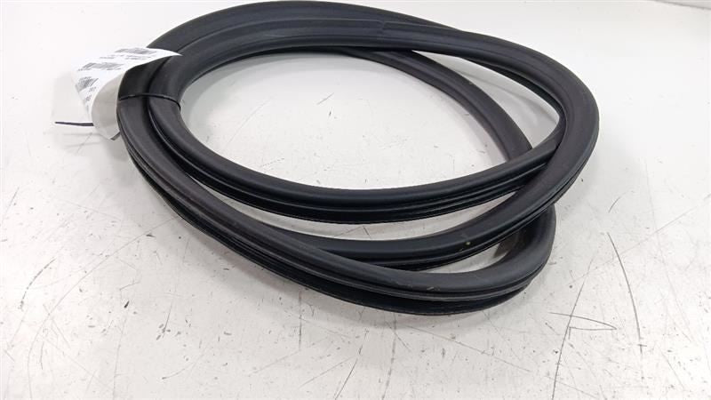 Chevrolet Equinox On Body Door Jamb Seal Rear Right Passenger Back 2018 2019