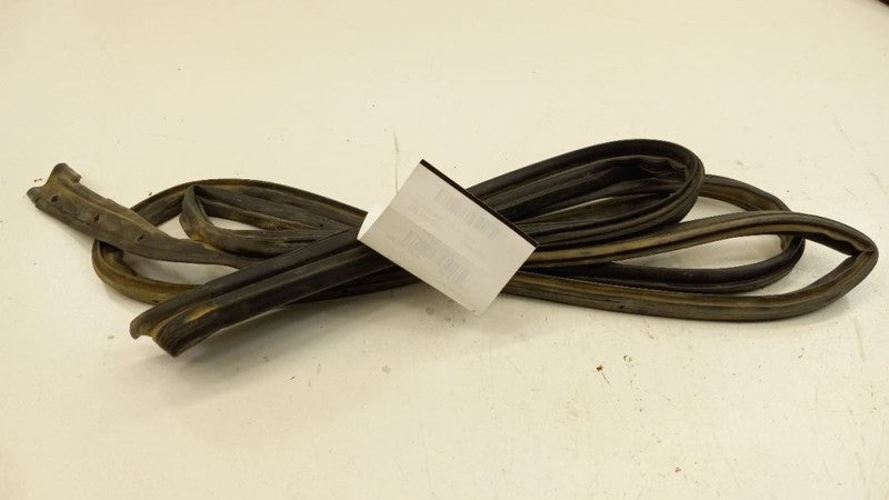 Nissan Sentra On Door Seal Rubber Right Passenger Rear Back 2007 2008 