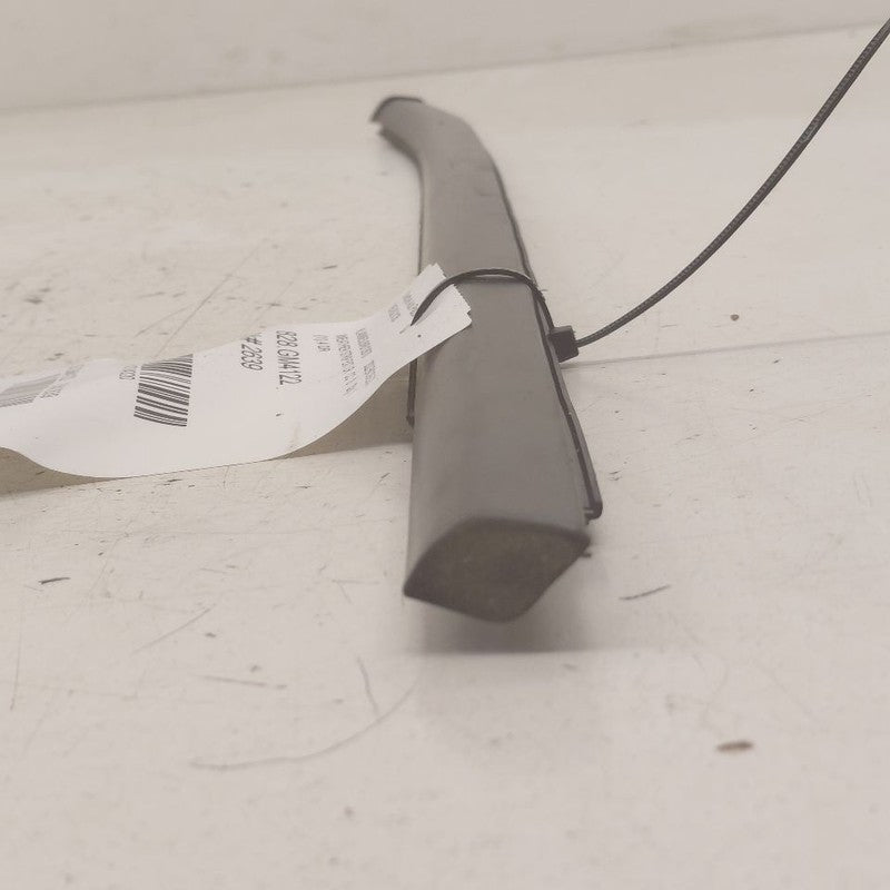 Buick Encore GX Door Glass Window Weather Strip Trim Rear Left Driver 